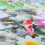 Fisch Tank Aquarium Hintergrund Hintergrund 13