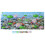 Fisch Tank Aquarium Hintergrund Hintergrund 5