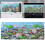 Fisch Tank Aquarium Hintergrund Hintergrund 9