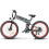 SameBike SAMEBIKE LO26Plus Folding E-Bike with 48V15Ah-grey 16
