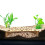 Plastic Shrimp Sanctuaries Trapezoid Fish Tanks-White 7