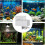 Automatic Fish Feeder With Timer  Compact, For Aquarium And Pond, Pet Fish Feeding Timer, Compatible With Freshwater 4
