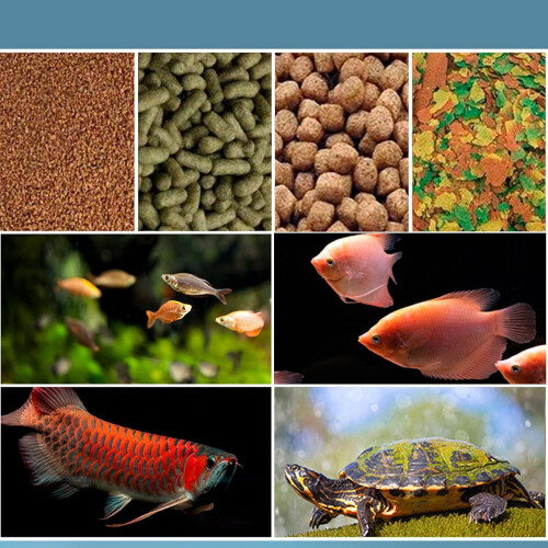 Automatic Fish Feeder With Timer  Compact, For Aquarium And Pond, Pet Fish Feeding Timer, Compatible With Freshwater 2