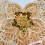 Embroidered Applique Sew on Collar Patches For Wedding-Model 2 5