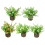Decorative Artificial Plant with Pots Decoration for-Yellow 2
