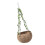 Hamster Squirrels Breeding Nest  Small-Coconut Nest Hanging 1