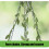 Hamster Squirrels Breeding Nest  Small-Coconut Nest Hanging 6