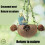 Hamster Squirrels Breeding Nest  Small-Coconut Nest Hanging 7