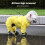 Windproof Dog Rain Coat with Foot Cover Full Coverage Rain-S 5