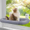 Window Hammock for Cats with Suction Cups for Kitten-Gray 5