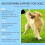 Dog Health Immunity Improvement Supplement with Essential 6