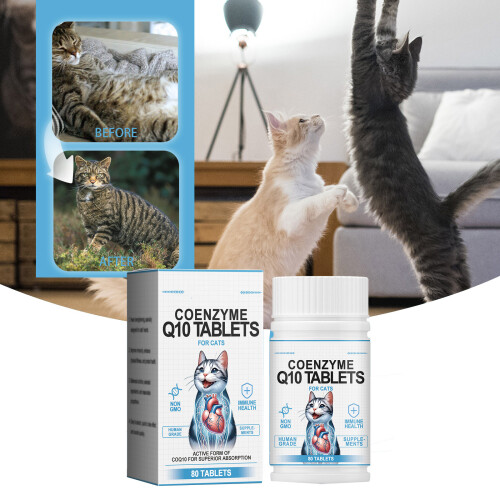 Nutrient Coenzyme Chewable Tablets for Senior Dogs Heart Coat 1