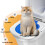 Practical Pet Potty Seats Pet Potty Chair Potty Training-Blue 2
