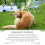 Nourishing Shampoo for Dogs Help Reduce Itching LongLasting 4
