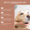 Nourishing Shampoo for Dogs Help Reduce Itching LongLasting 6