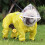 Windproof Dog Rain Coat Hooded Rain Coat Full Coverage Pet-L 6