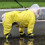 Windproof Dog Rain Coat Hooded Rain Coat Full Coverage Pet-L 4