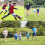 Football Target Net Foldable For Training, Football Goal Net, Target Practice Nets, Portable Practice Net 5