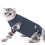 Protective Cats Surgical Suit with Elasticity-gray blue S 1