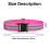 Trailblazer Belt: Running Belt With High Reflective Stripes, Adjustable 5