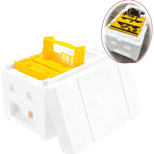 Foam Beekeeping Box Multipurpose Beekeeper Case for Queen Breeding Accessories and Hive Management 2