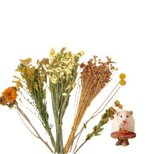 Flower Hamster Bedding Model C, Natural Ear Of Grain Sprays, Cage Enclosure Habitat Decor For Hamsters And Gerbils