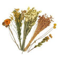 Flower Hamster Bedding 25cm Dried Flower For Hamsters, Natural Theme Small Animal Habitat Decor, Gerbil Cage Accessories