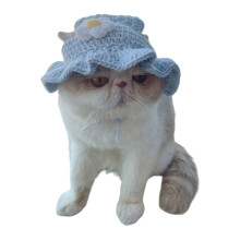 Chapeau de fleur de chiot chapeau au crochet chien-Fleurs bleues
