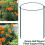 6pcs Plant Stand with 10 Green Labels Stake for Supporting 3