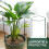 6pcs Plant Stand with 10 Green Labels Stake for Supporting 6