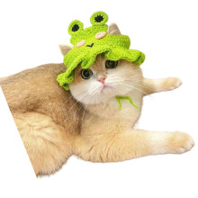 Chapeau de fleur de chiot chapeau au-Chapeau de grenouille