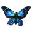 Coussin papillon en peluche, coussin à lancer,-Papillon bleu 1