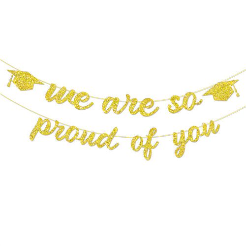 Shimmering Graduation Party Banners Streamers School Event-2
