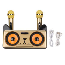 Bluetooth karaokespeaker met dubbele microfoons en oplaadbare batterij, retro kattenmodel om thuis te zingen, luid geluid, helder geluid