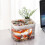 Clear Desktop Fish Bowl USB Pump Small Aquarium For Home-White 6