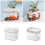 Clear Desktop Fish Bowl USB Pump Small Aquarium For Home-White 3