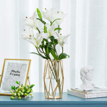 Stunning Gold Modern Flower Vases, Clear Glass Hydroponic Bud Vase With Elegant Gold Copper Finish For Home Decor And Wedding Centerpieces