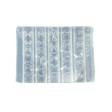 Reusable Silicone Nail Art Template Mold Feature Intricate