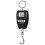 Industrial 200kg Portable Electronic Scale Hanging Hook-Black 1