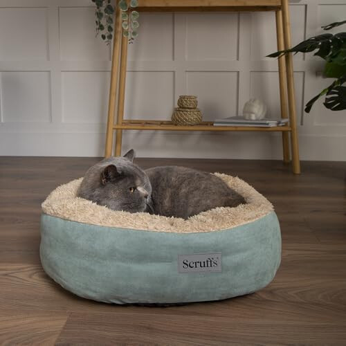 Scruffs Scruffs Cosy Cat Bed