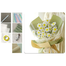 Pipe Cleaners Flower Set Chenilles Stems Craft-Little Daisy