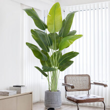 Keeplush Artificial Bird of Paradise Plant Outdoor 200cm Fake Tropical Banana Tree with 15 Leaves-Perfect Faux Plants for Indoor, Floor Plant in Pot