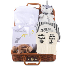 Newborn Baby Gift Set, Baby Birth Gift for Boys and Girls, 7 in 1 Set - A Baby Blanket, Lovey Security Blanket, Bib, Wooden Rattle Toy, Socks, Welcome