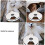 Automatic Pet Feeder Timer 6Compartment Dry Food Dispenser For Cats And Dogs Grey White Programmable Schedule 3