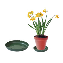 Clear Plastic Plant Saucers, Durable PP Resin Plant Trays for Indoor Use, Ideal for Protecting Floors from Water Spills and Soil Overflow (Deep Saucer