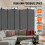 Scheidingswand - DUOKU - Vouwscherm - 6 Panelen - Grijs - Binnen 3