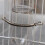 Universals Pet Bottles Spring Holders Replacement Water Bottles 5