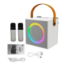 Karaokemaschine mit 2 kabellosen Mikrofonen, 10W Lautsprecher, bunten Lichtern, 4-Zoll XY-2023