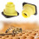500Pieces Convenient Beekeeping Queen Cell Cup Set Efficient 4