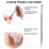 Exquisite Nail Dotting Tools, Durable For Longer Use, Vivid Color (14PCS) 4